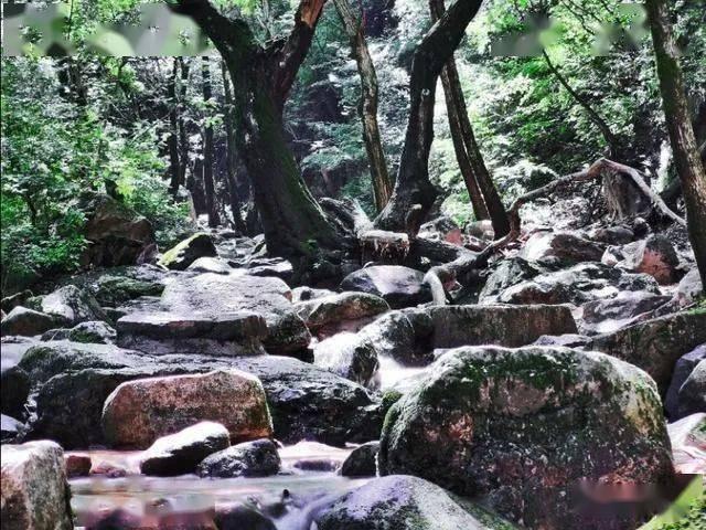属垣有耳